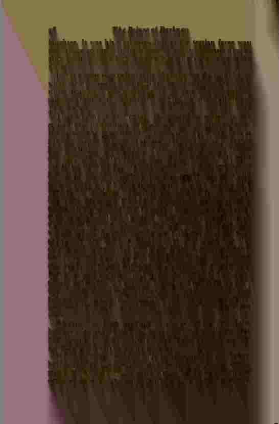 The Prince of Darkness - _56.jpg