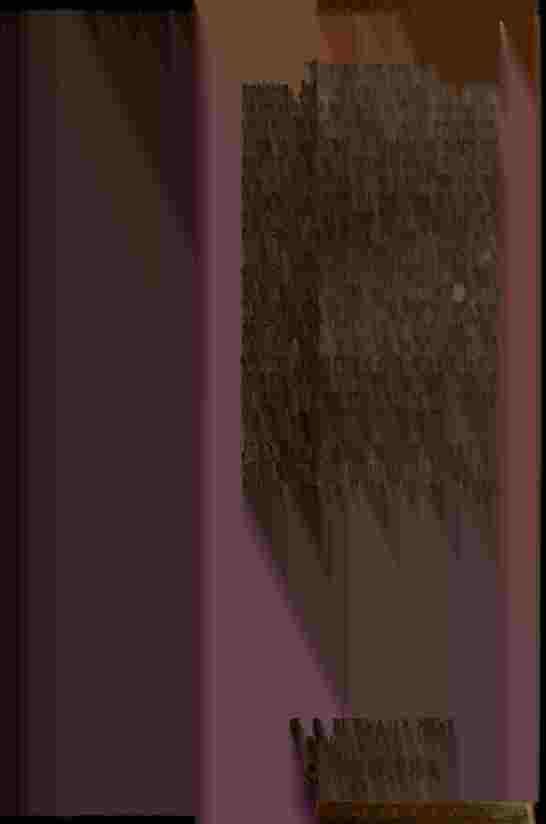 The Prince of Darkness - _642.jpg