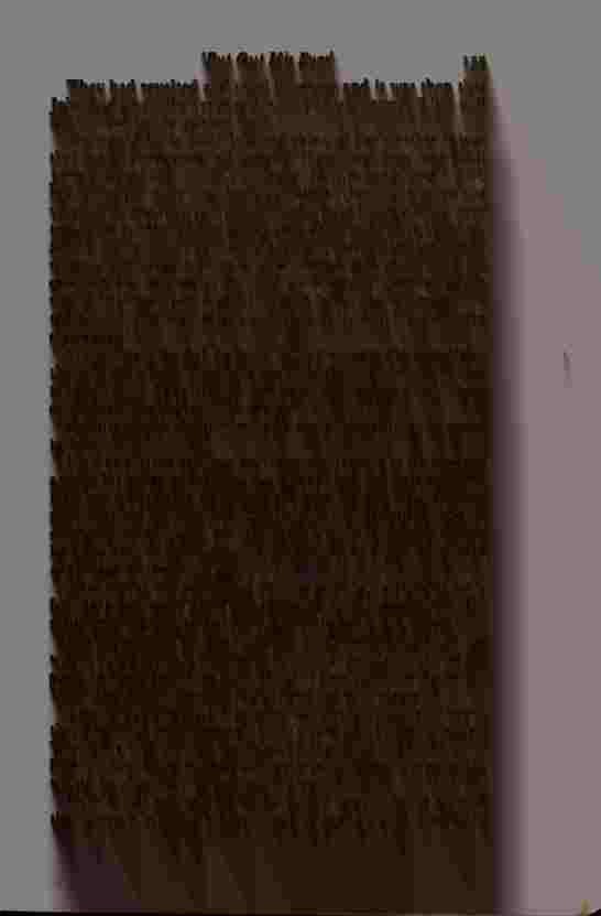 The Prince of Darkness - _313.jpg