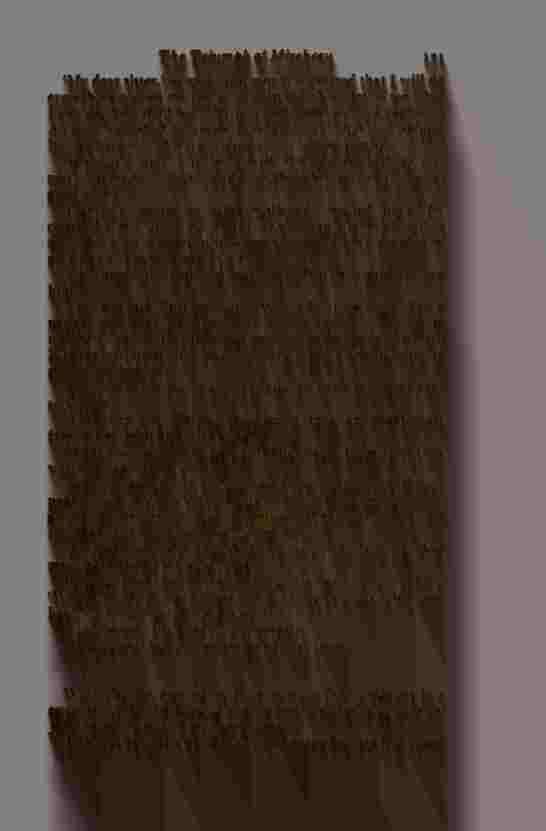 The Prince of Darkness - _265.jpg