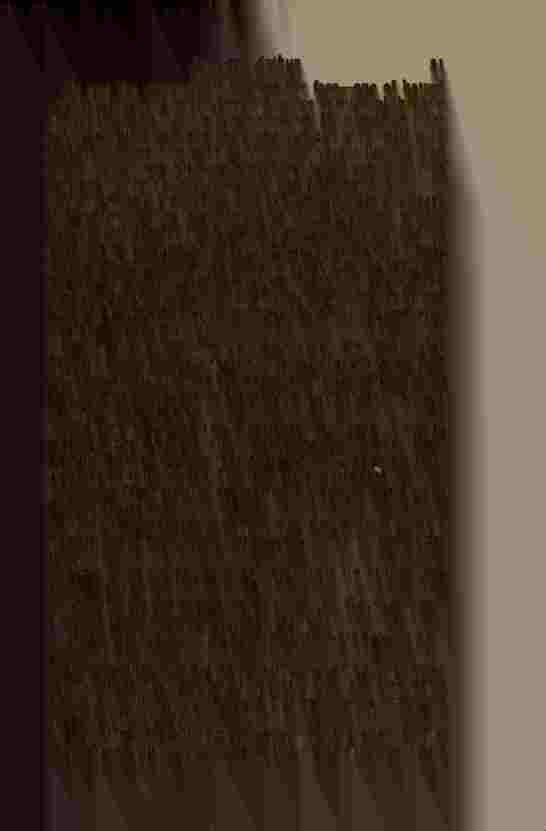The Prince of Darkness - _66.jpg