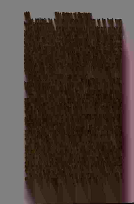 The Prince of Darkness - _578.jpg