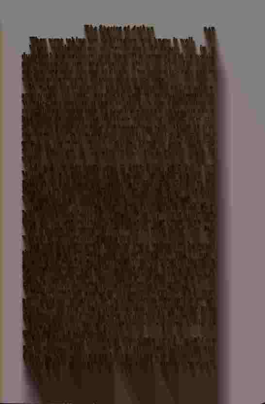 The Prince of Darkness - _496.jpg