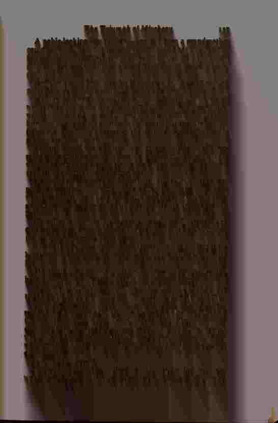The Prince of Darkness - _277.jpg