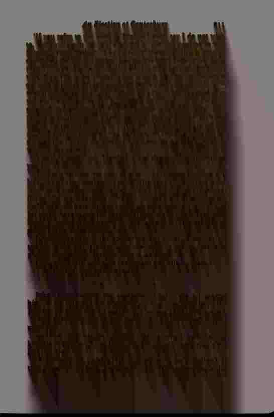 The Prince of Darkness - _424.jpg