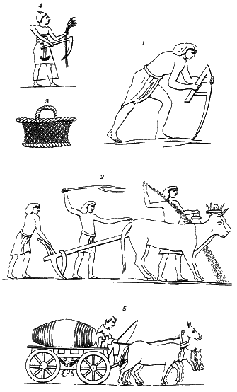 Таинства кулинарии. Гастрономическое великолепие Античного мира - i_003.png