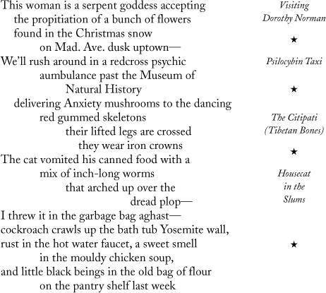 Collected Poems 1947-1997 - _16.jpg