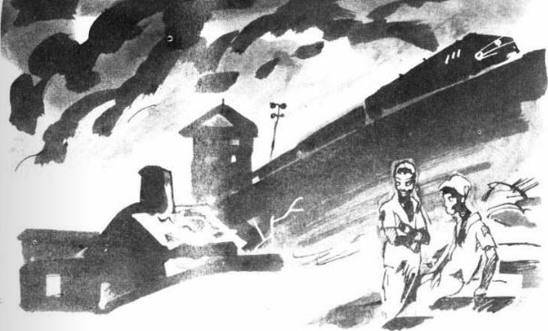 Бэки - _0.jpg