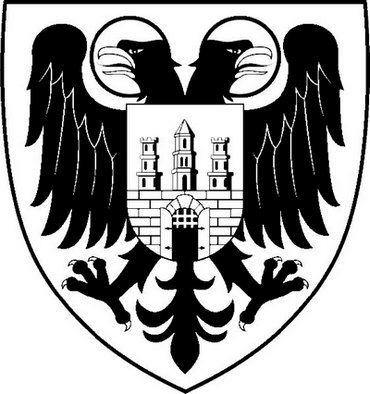 Австро-Венгрия: судьба империи - i_158.png
