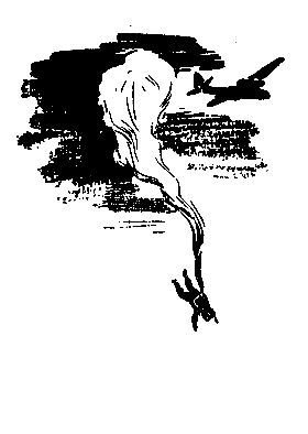 Конец Осиного гнезда (Рисунки В. Трубковича) - pic_4.jpg
