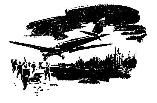 Конец Осиного гнезда (Рисунки В. Трубковича) - pic_5.jpg