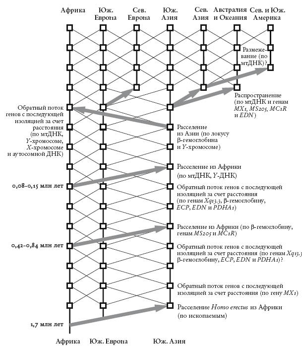 Рассказ предка. Паломничество к истокам жизни - i_003.png