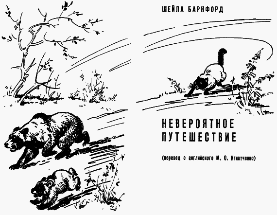 Невероятное путешествие - br000_horiz_570x442.png