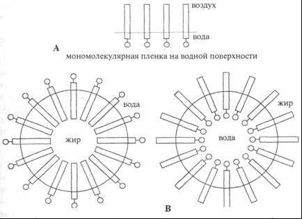 Скрытые связи - doc2fb_image_02000002.jpg