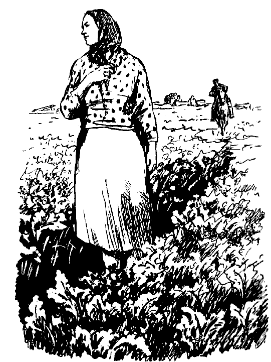 Дружба. Выпуск 3 - i_017.png