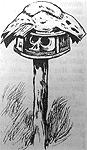 Томек среди охотников за человеческими головами - pic58.png