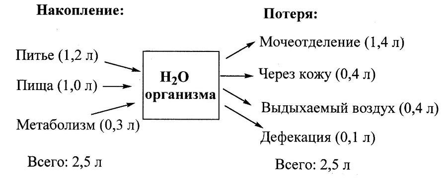 Биологическая химия - _34.jpg