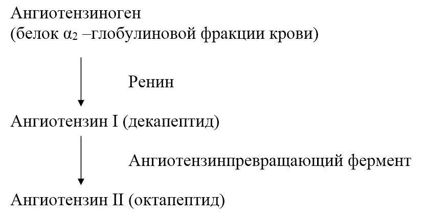 Биологическая химия - _35.jpg