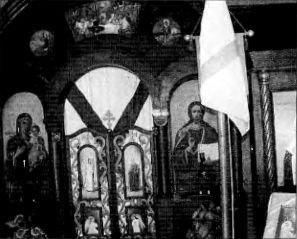 Белоэмигранты между звездой и свастикой. Судьбы белогвардейцев - i_009.jpg