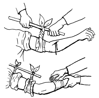 Пока едет «Скорая». Рассказы, которые могут спасти вашу жизнь - i_021.png