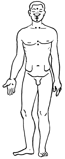 Пока едет «Скорая». Рассказы, которые могут спасти вашу жизнь - i_027.png