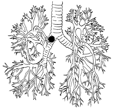 Пока едет «Скорая». Рассказы, которые могут спасти вашу жизнь - i_035.png