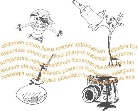 Медицинские запоминалки - i_062.jpg