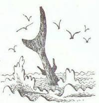 Сказки (иллюстрации Конашевича В.М.) - _100.jpg