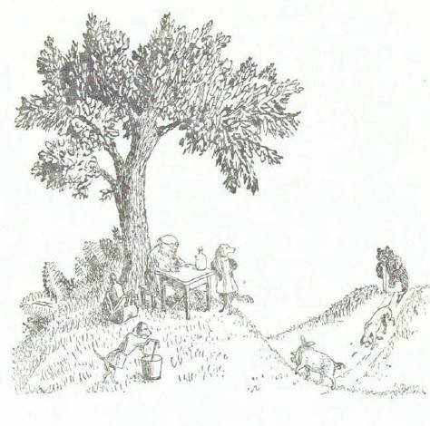 Сказки (иллюстрации Конашевича В.М.) - _145.jpg