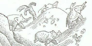 Сказки (иллюстрации Конашевича В.М.) - _131.jpg