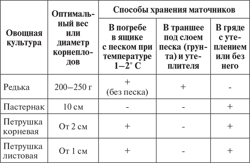 Овощи, ягоды, фрукты. Умная рассада и бережное хранение - i_009.png