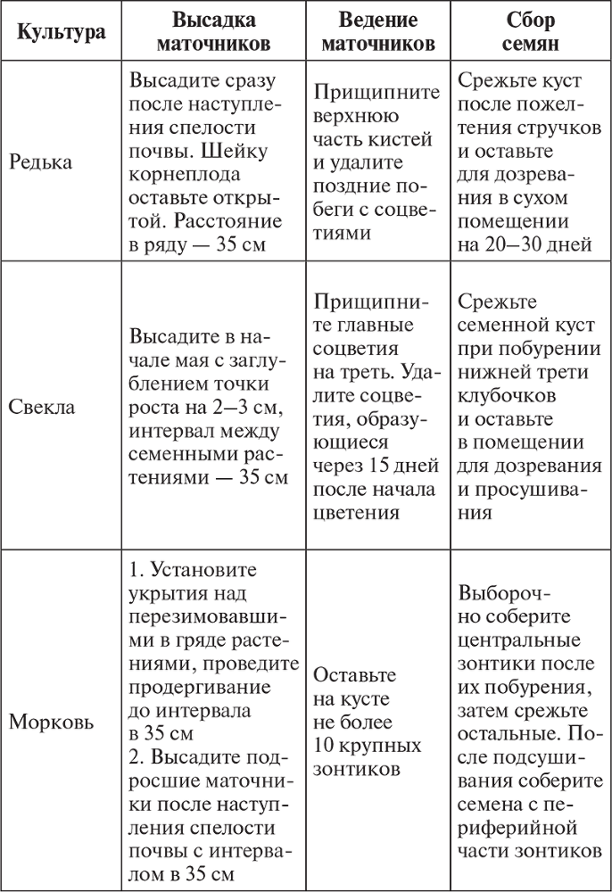 Овощи, ягоды, фрукты. Умная рассада и бережное хранение - i_010.png
