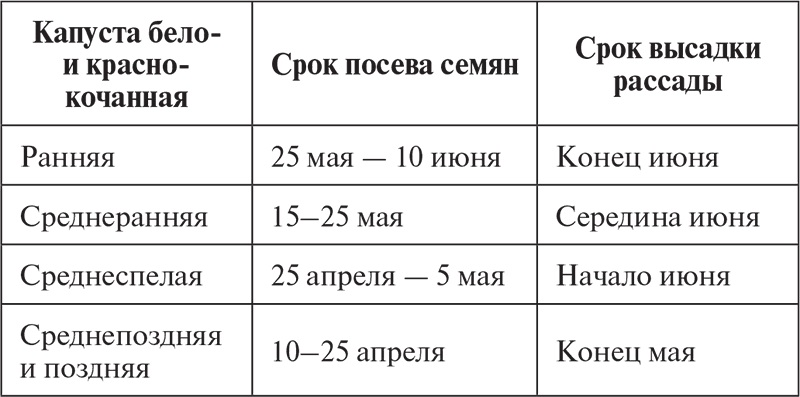 Овощи, ягоды, фрукты. Умная рассада и бережное хранение - i_012.png