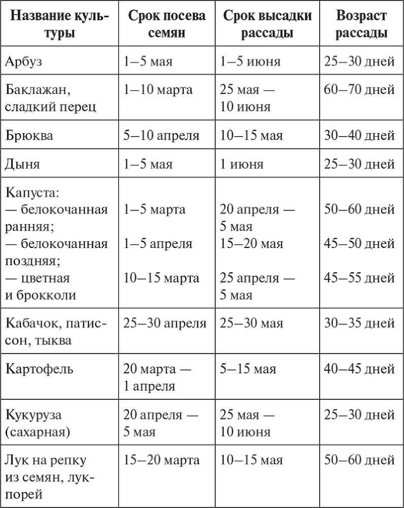 Овощи, ягоды, фрукты. Умная рассада и бережное хранение - i_042.png