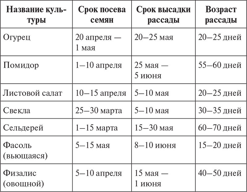 Овощи, ягоды, фрукты. Умная рассада и бережное хранение - i_043.png