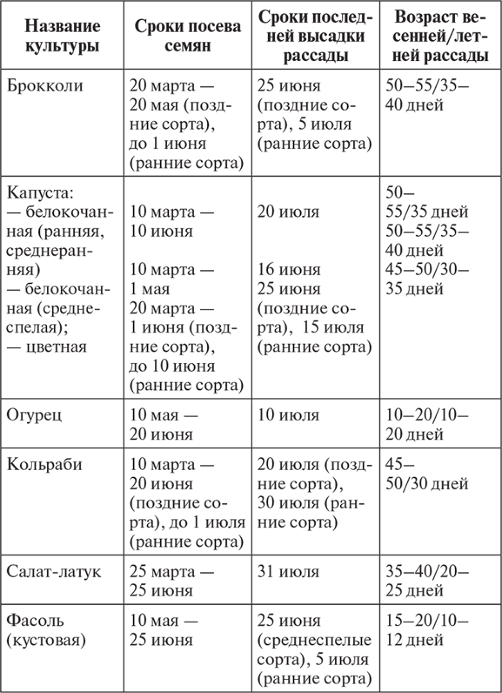Овощи, ягоды, фрукты. Умная рассада и бережное хранение - i_044.png