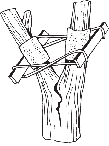 Календарь работ садовода-огородника. Прививаем сад - i_002.png