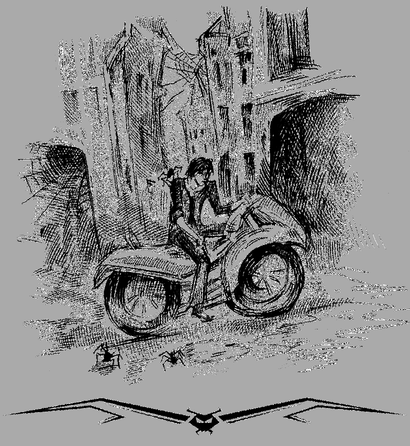 Хроники Темного Универа. Некромант (сборник) - i_006.png