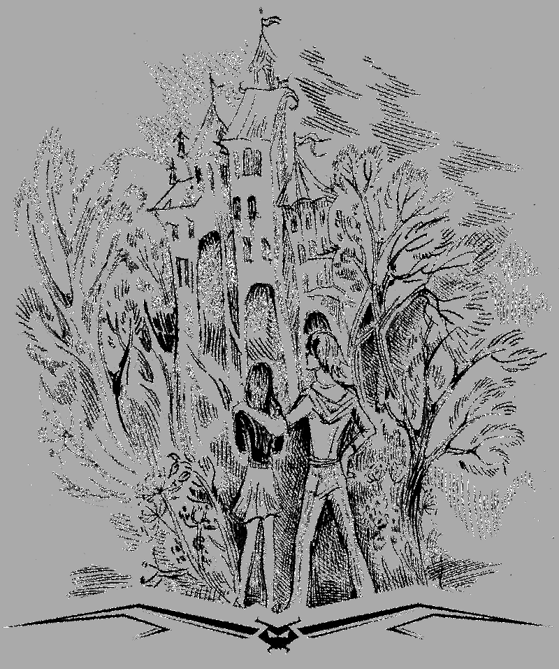 Хроники Темного Универа. Некромант (сборник) - i_013.png