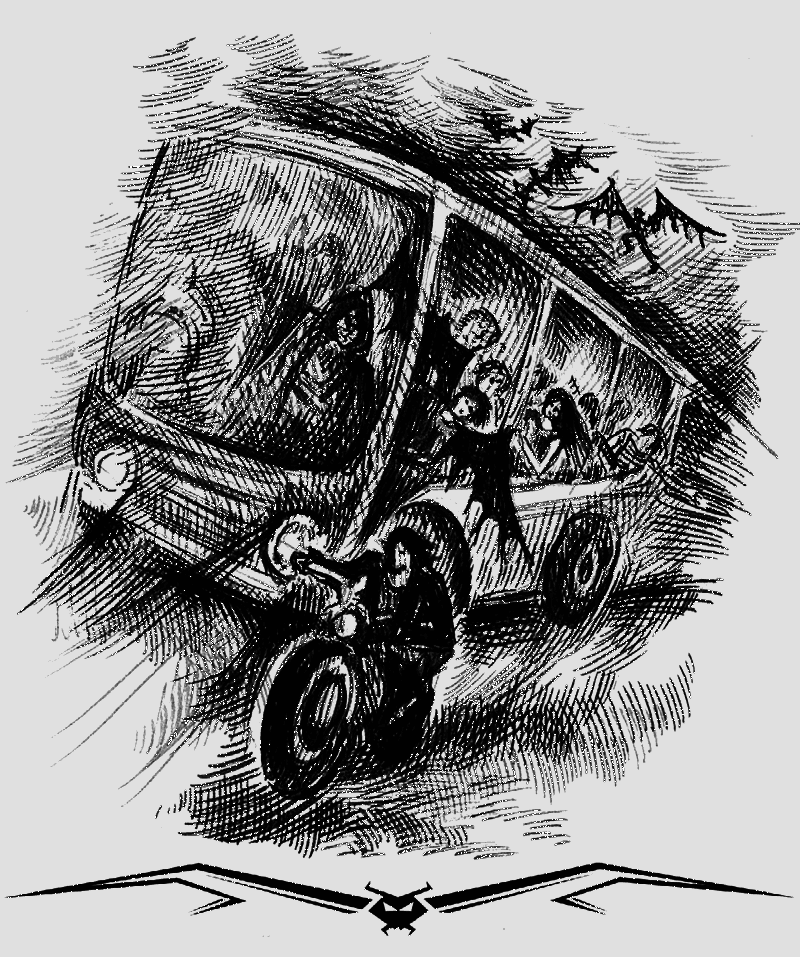 Хроники Темного Универа. Некромант (сборник) - i_022.png