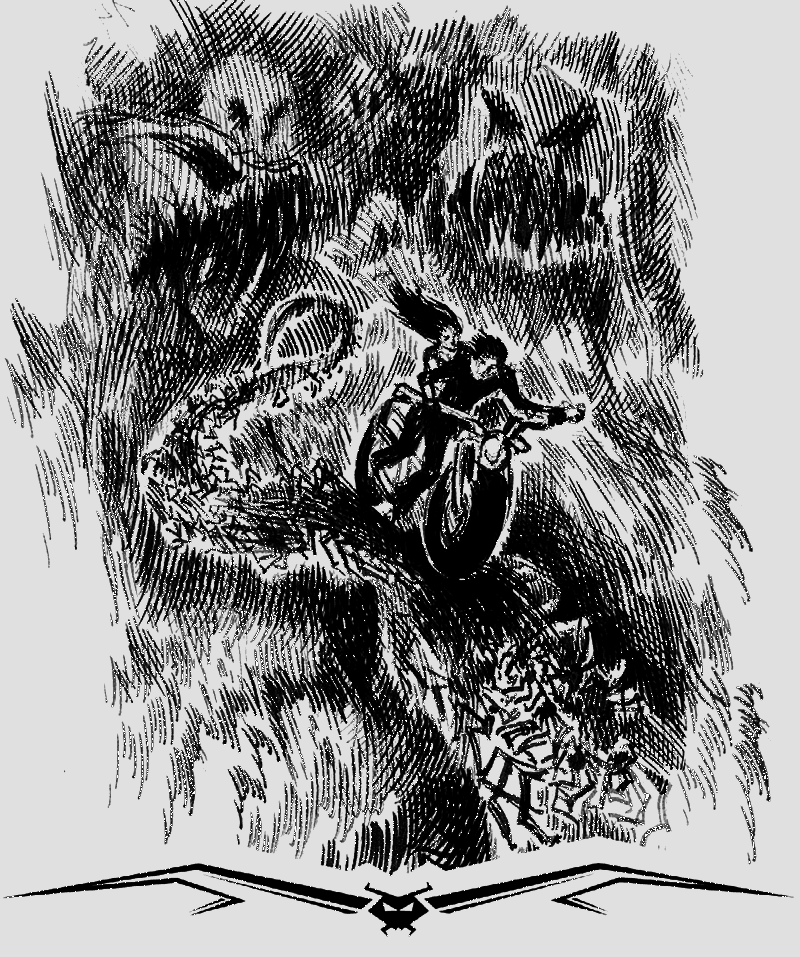 Хроники Темного Универа. Некромант (сборник) - i_034.png