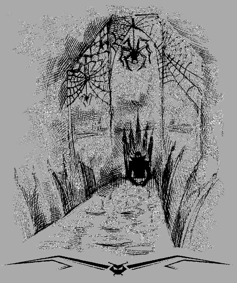 Хроники Темного Универа. Некромант (сборник) - i_037.png