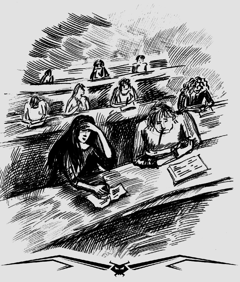 Хроники Темного Универа. Некромант (сборник) - i_038.png