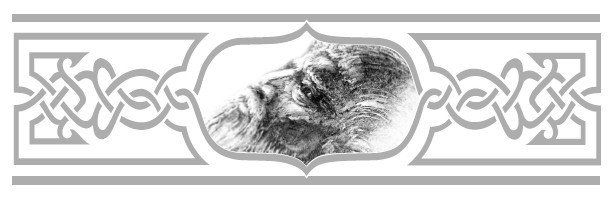 Олег Рязанский - i_043.jpg