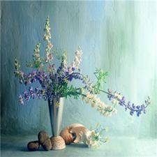 Сэнгоку Дзидай - i_059.jpg