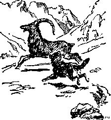 Джура - _4.jpg