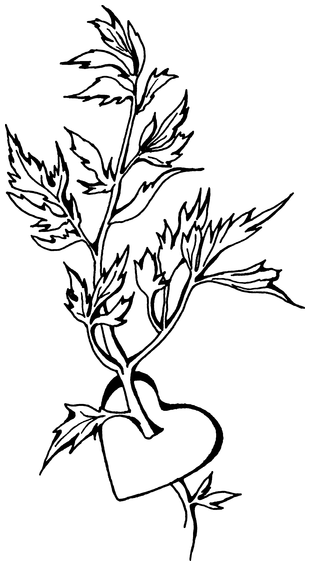 Растения, побеждающие боль. Дача — вылечит, дача — исцелит - i_006.png