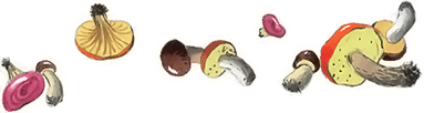 Все лучшие сказки и рассказы - i_016.png