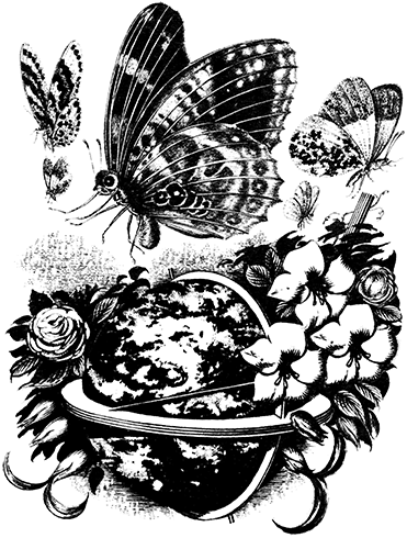 Звенья и зёрна - i_007.png