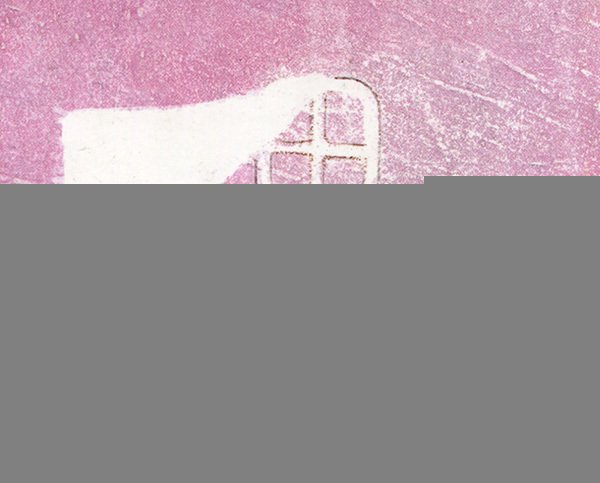 Черная скрипочка - i_028.jpg